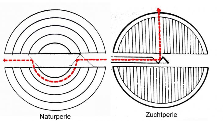 Unterscheidung von Perlen